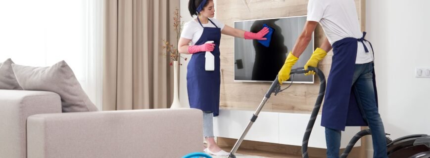 professional cleaning services